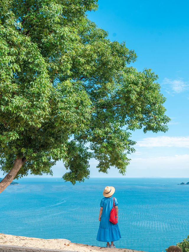 真是浙江有山有海的城市太浪漫了