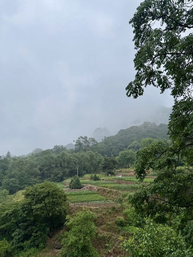 歲月靜養，武安長壽村的山居晨暮