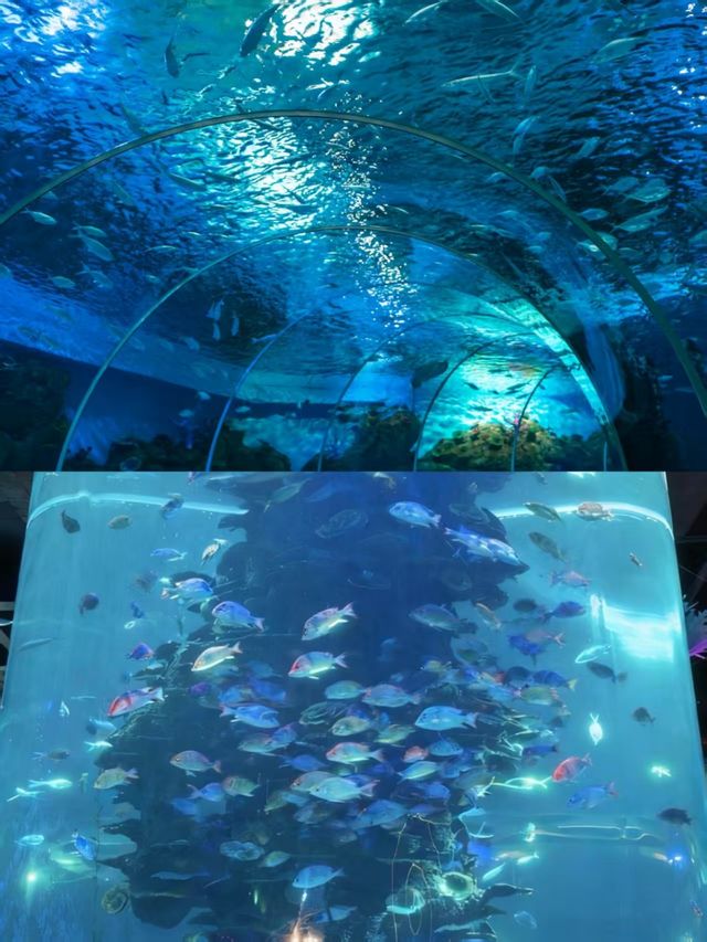 來泉州，不要只去泉州西街這個海邊樂園超美