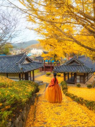 Stunning! 16 Autumn-Limited Must-Visit Spots in Gyeongnam, South Korea – Quickly save this beautiful guide