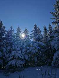 雪嶺凝霜綴瓊枝，尚志霧淞赴一場冬日詩行
