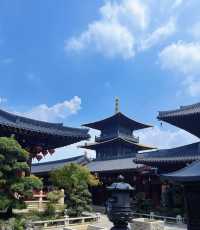 上海廣富林|在6000年遺址上遇見浮於水上的千年秘境