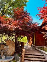 濟南秋日限定浪漫！九如山紅葉氛圍感爆棚