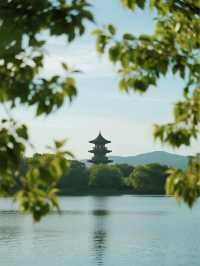 鄱陽湖草海封神了2條人少景美的小眾路線（附詳細攻略）