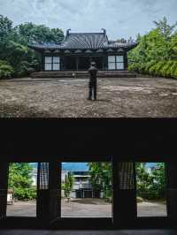 四川這座藏在村裡的元代大殿讓我破防了……