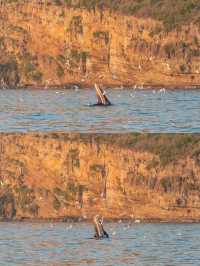 【涠洲島秋日漫遊指南｜在南國海島上邂逅25℃的溫柔】