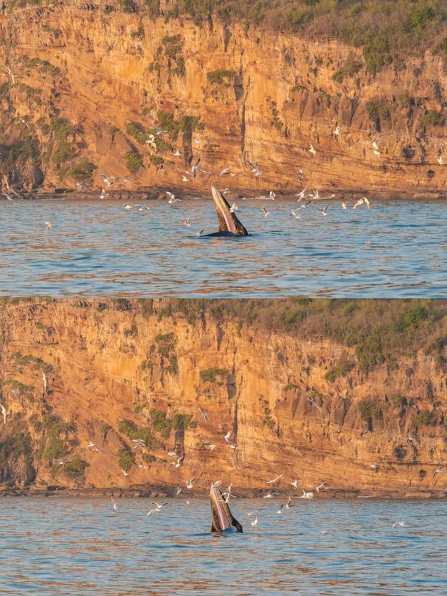【涠洲島秋日漫遊指南｜在南國海島上邂逅25℃的溫柔】
