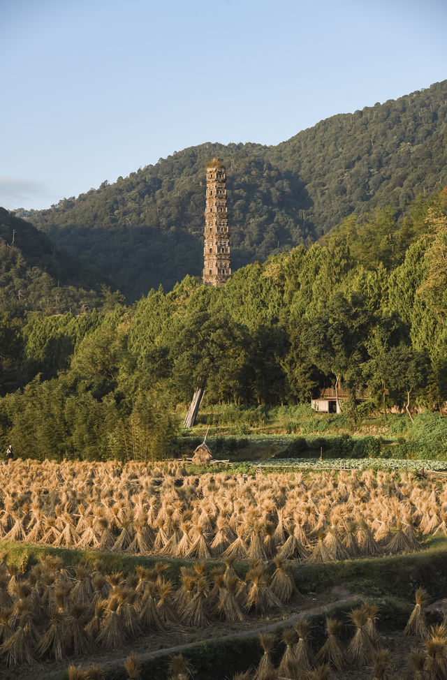 秋風微涼，稻穀滿倉：記第四次去國清寺