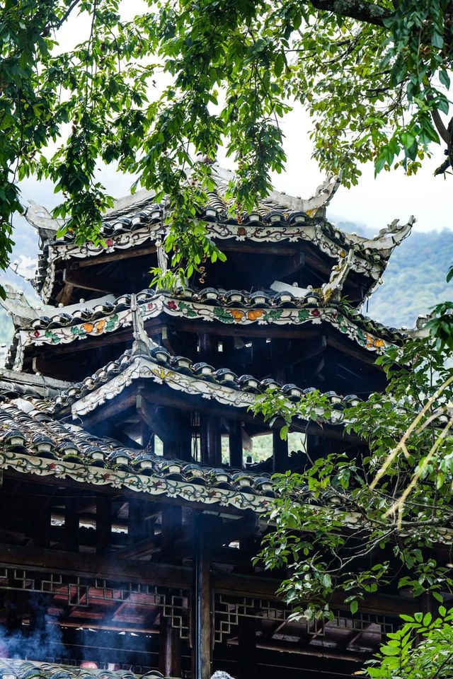 藏在湘西南的「古樹王國」，竟藏著土樓歷史蹤影！