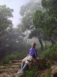 誰能拒絕陰雨天的梧桐山