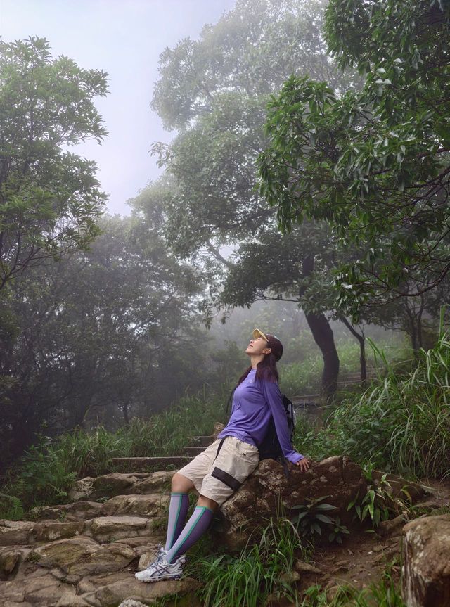 誰能拒絕陰雨天的梧桐山  誰能拒絕陰雨天的梧桐山