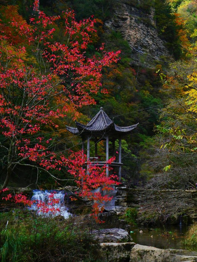西安周邊|不愧陝南小九寨低估賞秋天花板 西安周邊|不愧陝南小九寨低估賞秋天花板