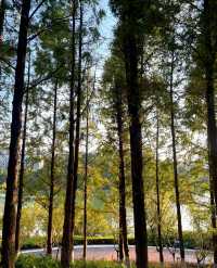 跑遍長沙公園⑥|尖山湖公園:高新區打工人的週末活力寶藏地