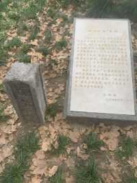 1天南京包車遊打卡必玩景點