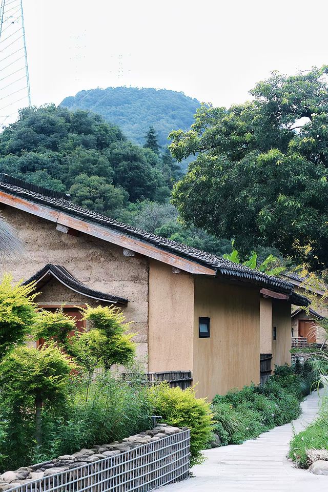什麼在紅山楂酒店竟然不能躺平 什麼在紅山楂酒店竟然不能躺平