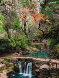 秋天一定要去河南,美翻了