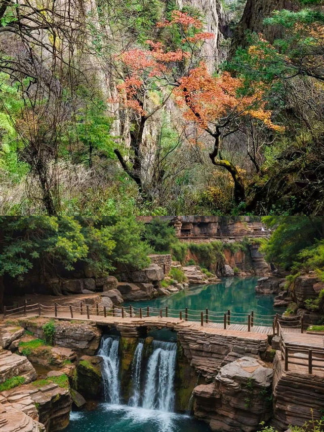 秋天一定要去河南,美翻了 秋天一定要去河南,美翻了