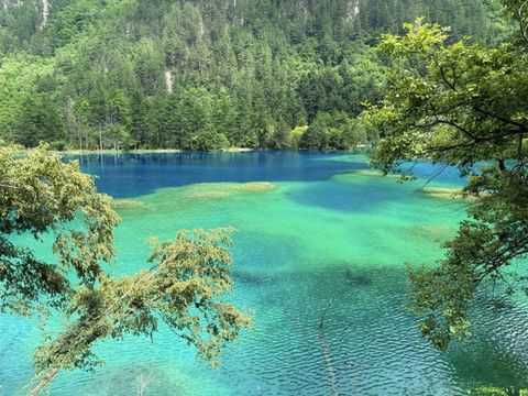 6天玩透成都等地保姆級攻略來啦 6天玩透成都等地保姆級攻略來啦