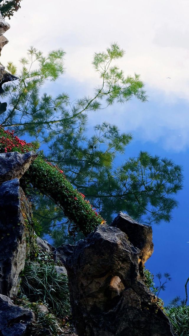 蘇州的秋天|在怡園的桂花香裡,撞見江南最溫柔的時刻 蘇州的秋天|在怡園的桂花香裡,撞見江南最溫柔的時刻