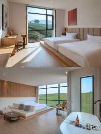 江浙滬2h!帶寵住茶山民宿超省心