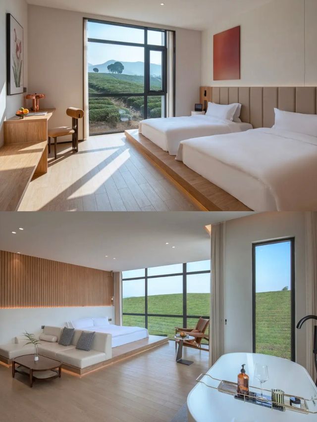 江浙滬2h!帶寵住茶山民宿超省心 江浙滬2h!帶寵住茶山民宿超省心