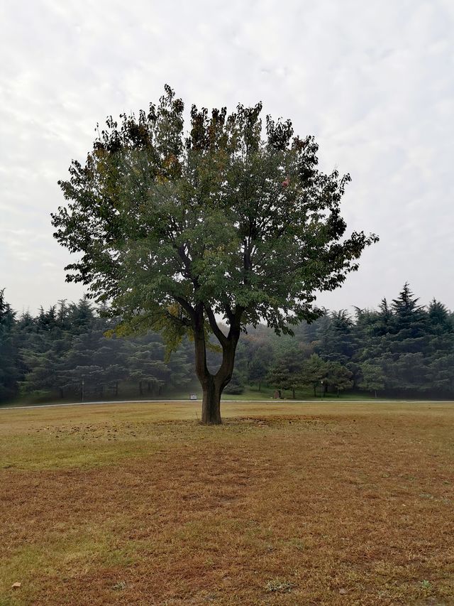 【河南省濮陽市】濮上園景區。