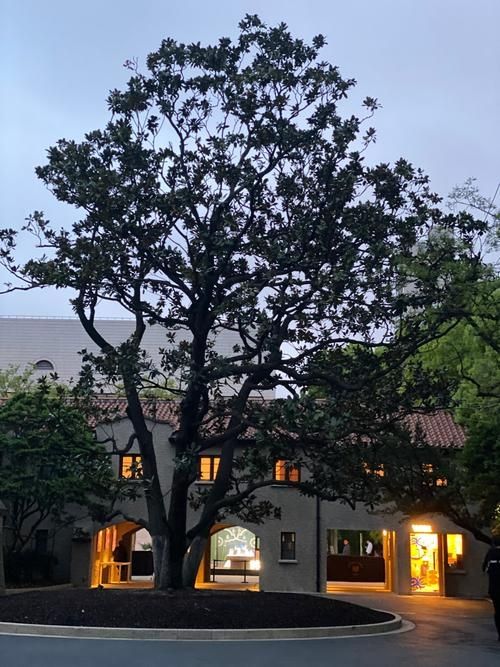 探訪孫科別墅 探訪孫科別墅