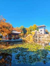 北京園博園嶺南園以精緻的嶺南園林風格 在北京的秋韻裡獨領風騷