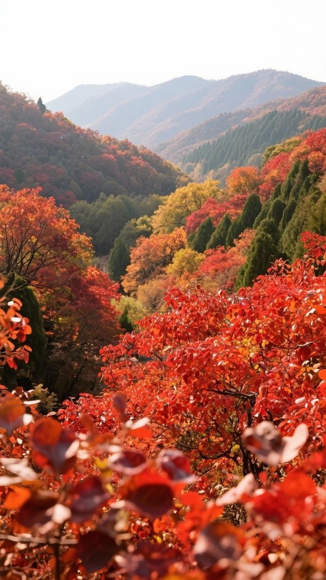 紅葉谷_您值得一去的地方!來了定不後悔! 紅葉谷_您值得一去的地方!來了定不後悔!