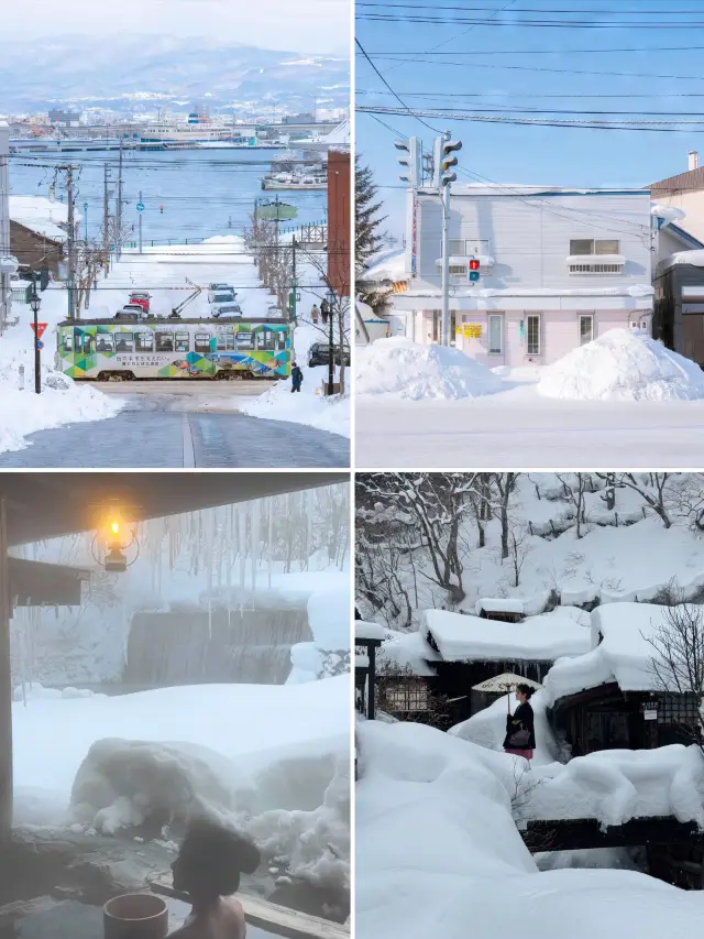 第一次去北海道小白直接進來抄作業