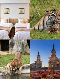 秋日限定哈爾濱-牡丹江-延邊必衝攻略