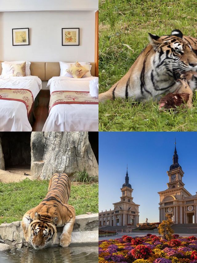 秋日限定哈爾濱-牡丹江-延邊必衝攻略