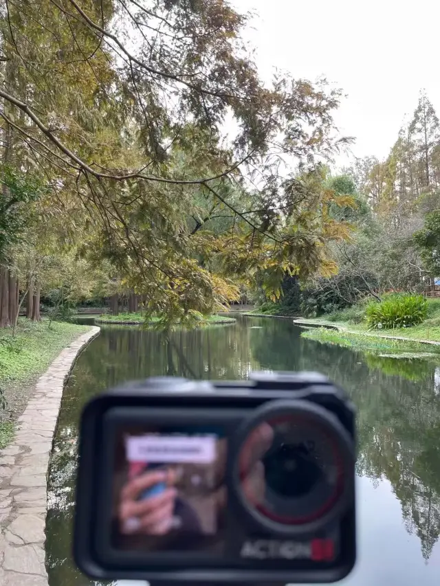 Shanghai is worth visiting again and again, especially in the beautiful December