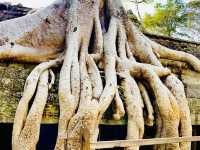 探秘@柬埔寨吳哥窟