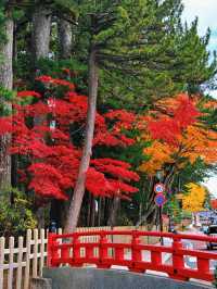 拈花一笑高野山