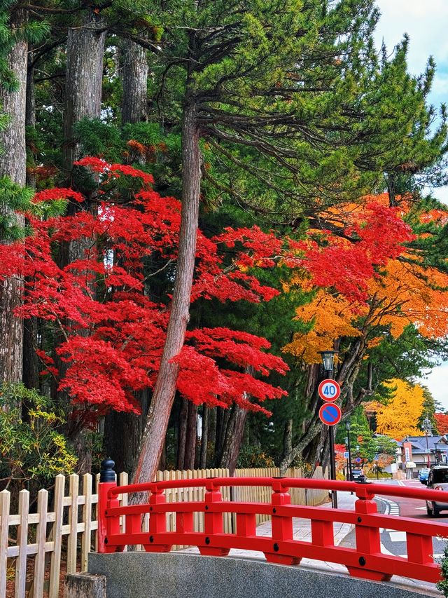 拈花一笑高野山