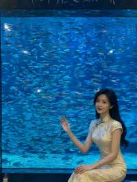 十一青島不扎堆!本地人私藏小眾海景路線