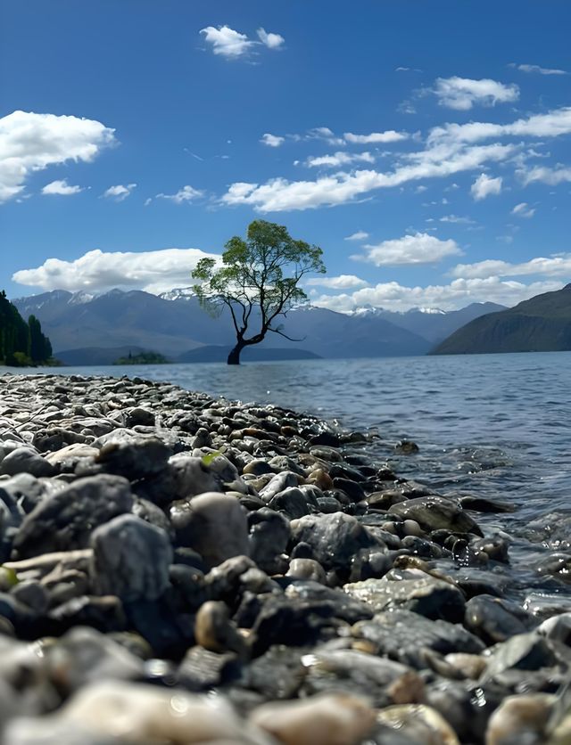 新西蘭是一個深藏不漏的旅遊神秘點