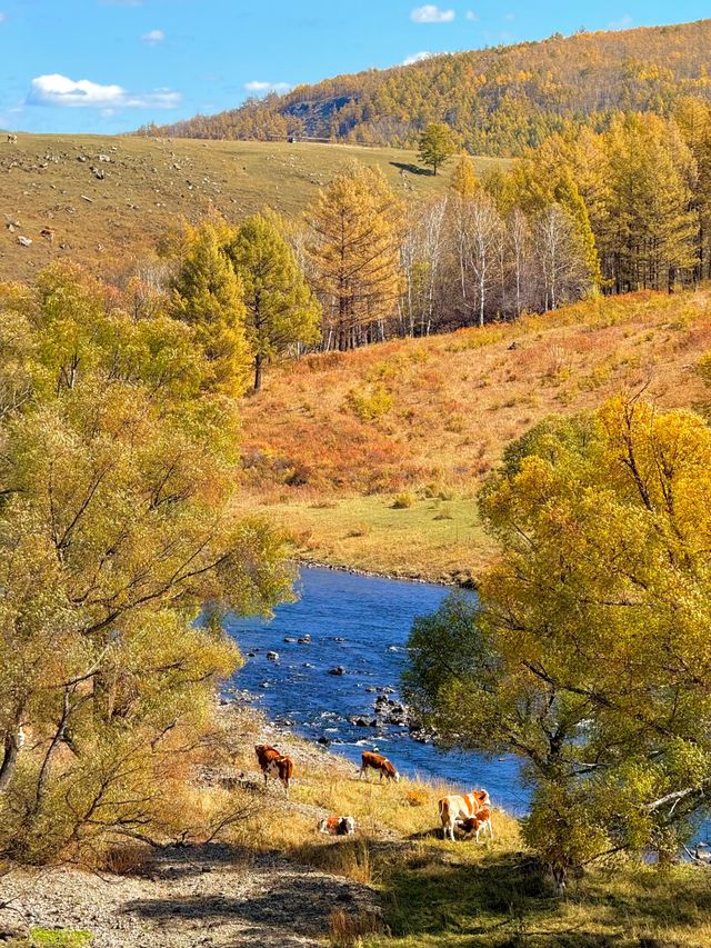 冬日阿爾山童話祕境 冬日阿爾山童話祕境