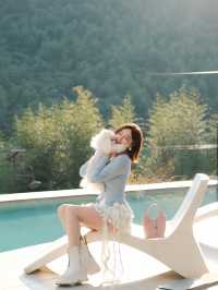 週末自駕莫干山帶毛孩子一起撒歡