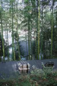 秋天帶娃住進莫干山，被美景治癒了！