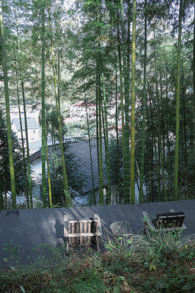 秋天帶娃住進莫干山，被美景治癒了！