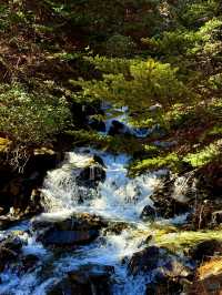 真的太好看了稻城亞丁，每一張都像壁紙一樣實拍！！！