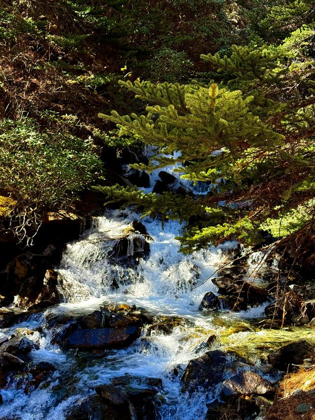 真的太好看了稻城亞丁，每一張都像壁紙一樣實拍！！！