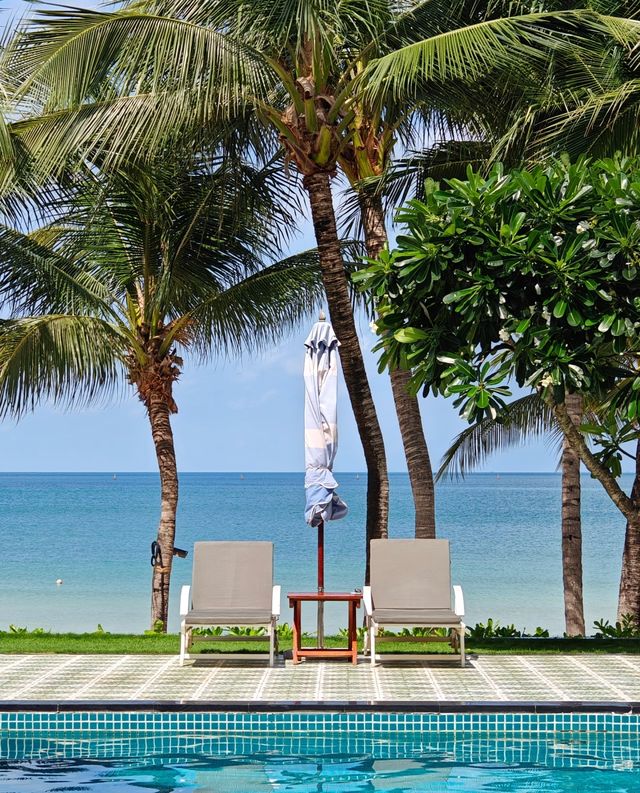 白沙灘與椰樹超絕配 白沙灘與椰樹超絕配