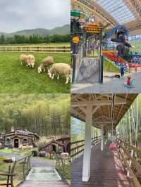 森林裡的樹屋，PS森泊打卡成功！