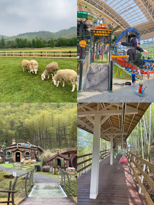 森林裡的樹屋，PS森泊打卡成功！