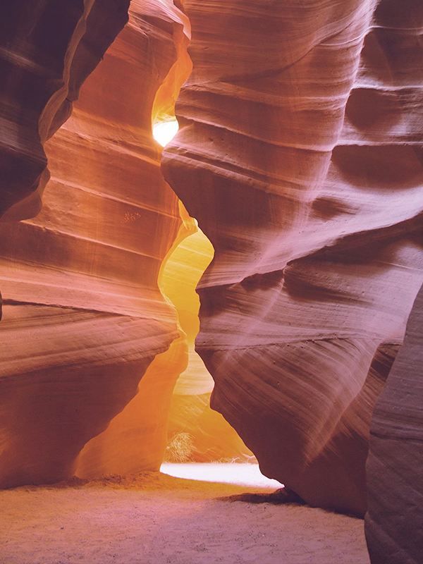 美國8日包車遊 全程舒適打卡