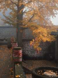 成都秋日漫遊指南，不一樣的金秋之旅