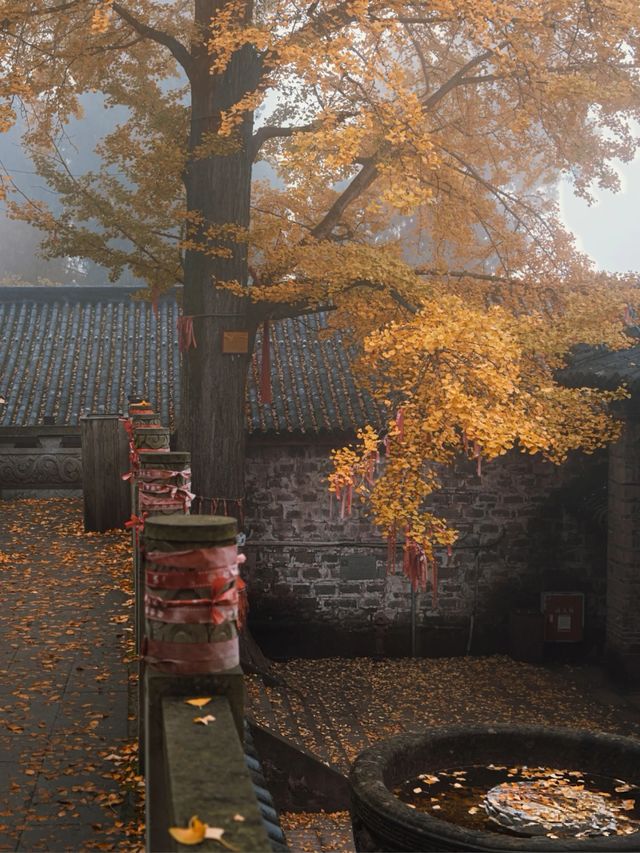 成都秋日漫遊指南，不一樣的金秋之旅